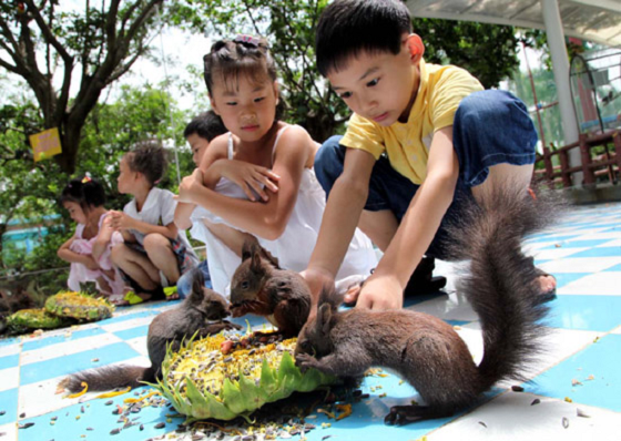 长沙首届松鼠旅游文化节五一举办，光明松鼠谷成为孩子们的乐园