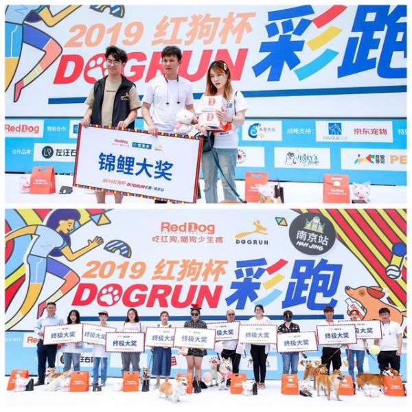 红狗杯2019DOGRUN彩跑起航，南京站精彩纷呈