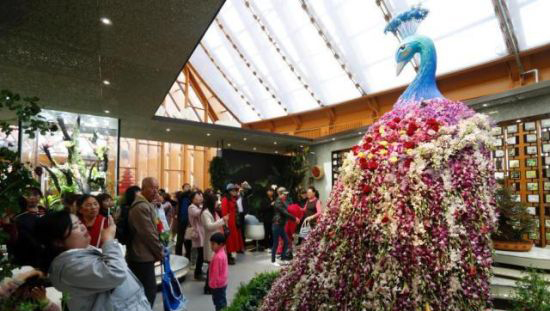 2019世园会启动 云南园高山植物尽显生物多样性之美