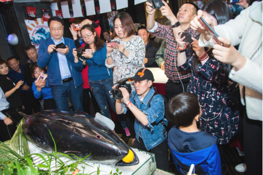 140斤蓝鳍金枪鱼解体秀震撼上演！这么新鲜的鱼你吃过吗？