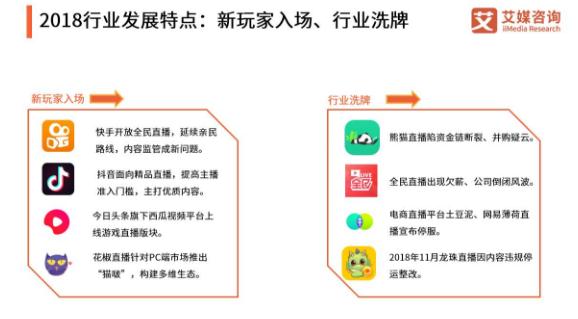 2018-2019中国在线直播行业研究报告