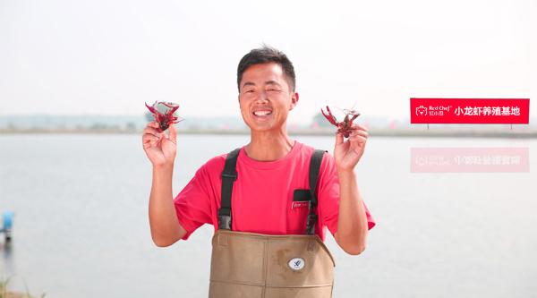 网红爆款红小厨，72小时抢空241吨小龙虾