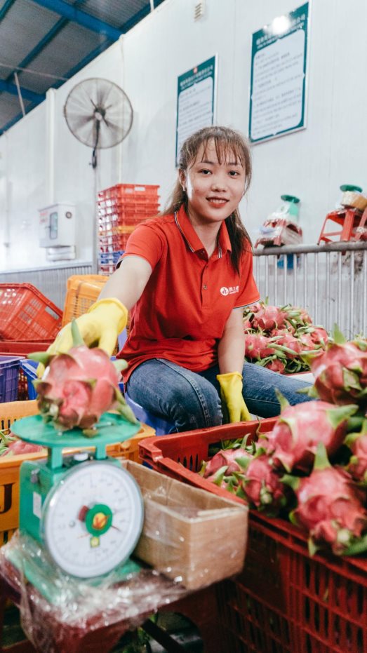 “火龙果自由”来了！苏宁618包下越南3万亩种植园