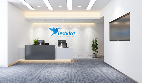 央视采访TestBird手游小王子