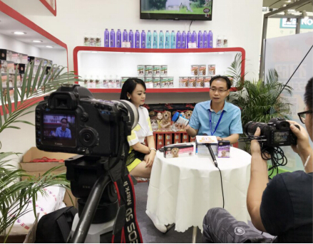 广东电视台专访贝咪加：新锐品牌，为宠物行业更添动力