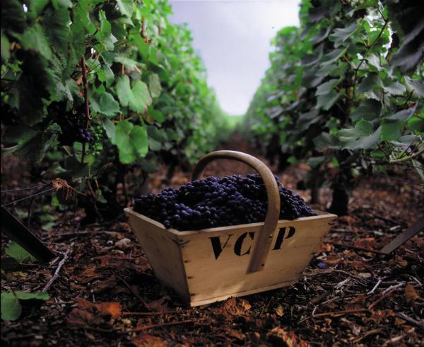 大胆演绎黑皮诺的果敢优雅 凯歌贵妇香槟2008年份发布