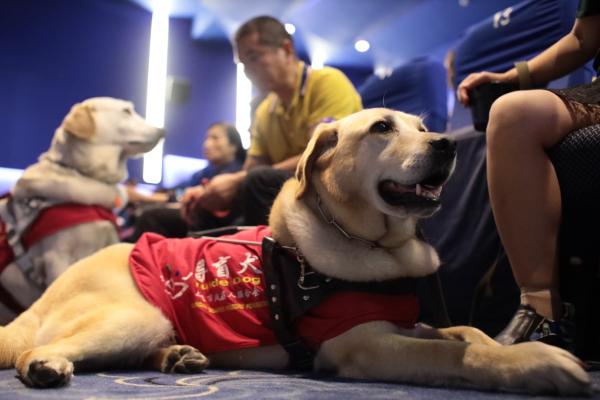绿皮书、一条狗，阿里影业联合残联公益正能量让视障者“无障碍观影”