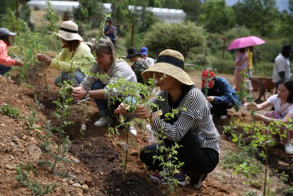 愈高山 遇美肌：植物医生保护生物多样性之旅圆满结束