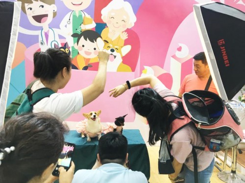 为爱前行，相伴21年——瑞鹏宠物医院参加第五届深宠展圆满落幕