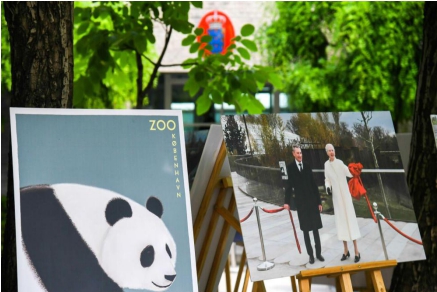 为全球大熊猫粉丝打造体验乐园 咪咕圈圈将上线大熊猫粉丝俱乐部