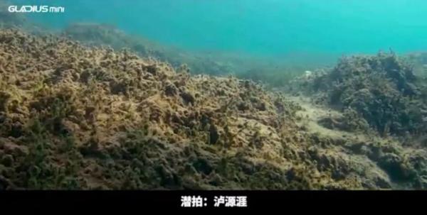 潜拍无人机鲛GLADIUS mini首次潜入泸沽湖湖底，摄制“成果”惊艳众人