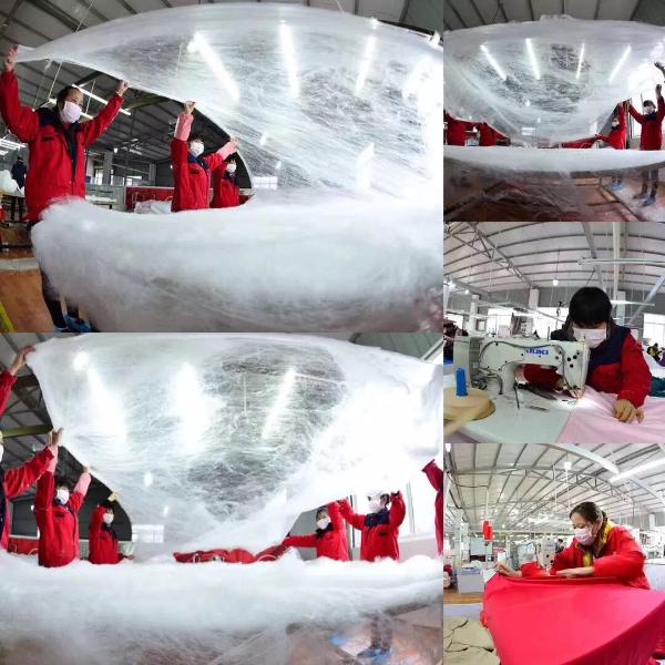 我为高质量发展代言，缔凡蚕丝林燕飞：一缕金丝线织就桑蚕创业梦