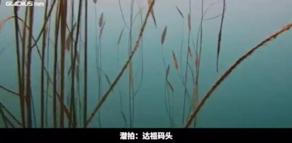 潜拍无人机鲛GLADIUS mini首次潜入泸沽湖湖底，摄制“成果”惊艳众人