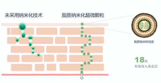 《我是大美人》力荐，一辈子只能用一套的水乳，就是她了！