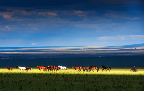 “马背上的内蒙古”品牌助力内蒙古全域旅游发展
