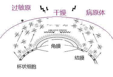 爱眼日不可错过的爱眼小知识