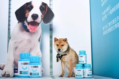 卫仕 | 国内首个宠物品牌快闪店，邀您乘坐「卫仕时光穿梭号」带TA去你的梦境