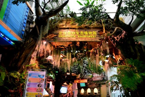 不用去网红机场！广州正佳也有15000㎡超大热带雨林，尽享负离子“森林浴”