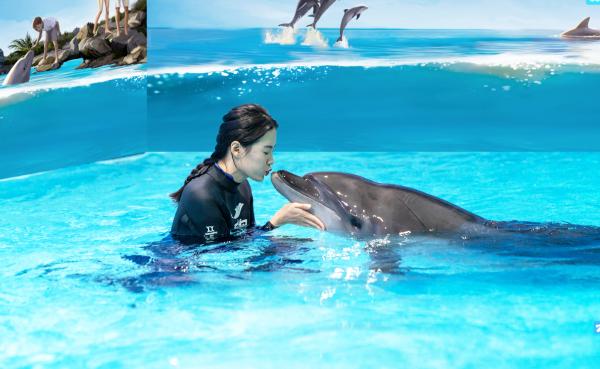 2019年秦皇岛乐岛·海豚音乐节 我和海豚一起唱，你和大海一起听