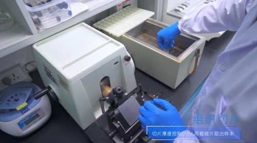 华南理工大学7天显微镜实验 揭秘美的冰箱原鲜口感源自1/300的微晶奥秘