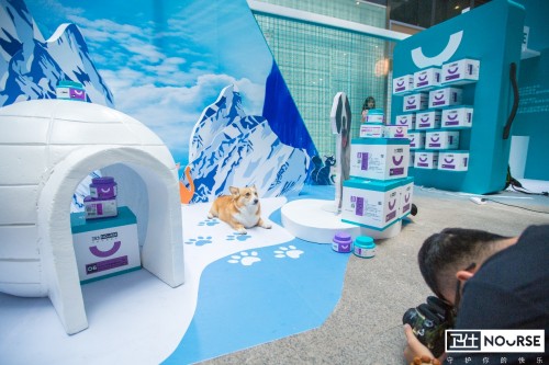 卫仕 | 国内首个宠物品牌快闪店，邀您乘坐「卫仕时光穿梭号」带TA去你的梦境