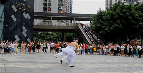 横山花仙谷的高颜值“鹅子”现身重庆街头惹尖叫