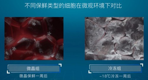 华南理工大学7天显微镜实验 揭秘美的冰箱原鲜口感源自1/300的微晶奥秘