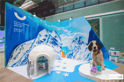 卫仕 | 国内首个宠物品牌快闪店，邀您乘坐「卫仕时光穿梭号」带TA去你的梦境