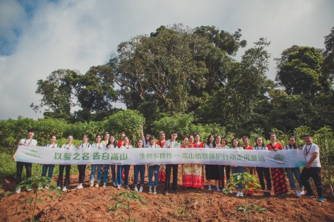DR PLANT植物医生:源自高山植物的纯净美肌力量