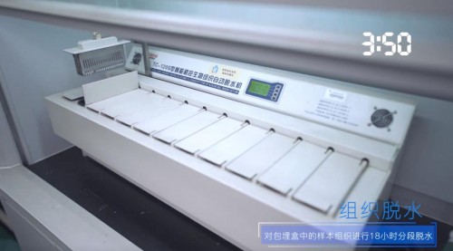 华南理工大学7天显微镜实验 揭秘美的冰箱原鲜口感源自1/300的微晶奥秘