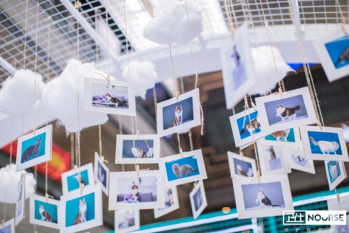 卫仕 | 国内首个宠物品牌快闪店，邀您乘坐「卫仕时光穿梭号」带TA去你的梦境