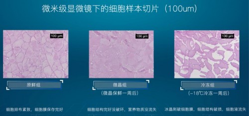 华南理工大学7天显微镜实验 揭秘美的冰箱原鲜口感源自1/300的微晶奥秘