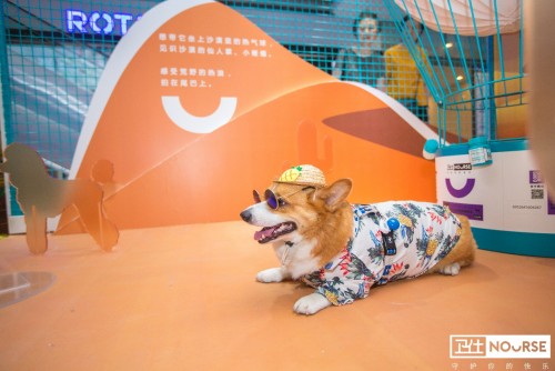 卫仕 | 国内首个宠物品牌快闪店，邀您乘坐「卫仕时光穿梭号」带TA去你的梦境