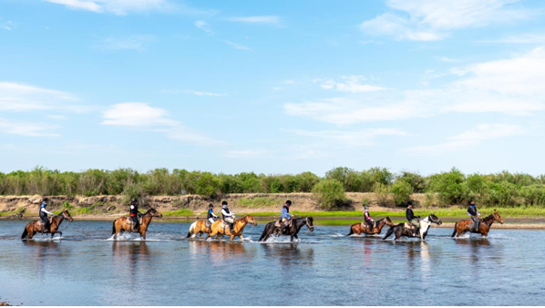 内蒙古马文化旅游进入旅游旺季，换种方式“骑着马儿游草原”