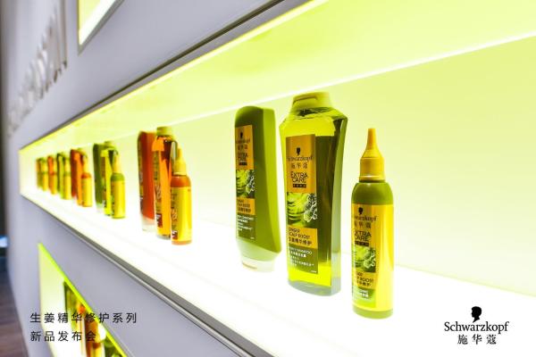 施华蔻生姜精华修护系列新品发布，携手朱一龙引领养生「头等大势」