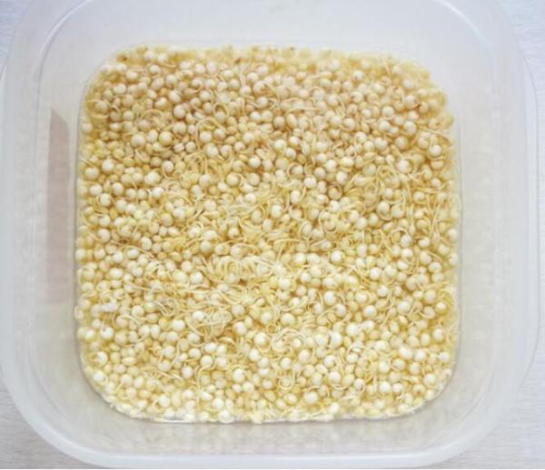 青藜优品：以正能量打造“高端藜麦”品质样本