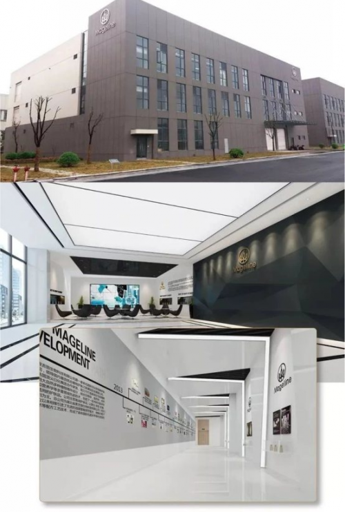 “组合拳”频出，麦吉丽提速发展正当时
