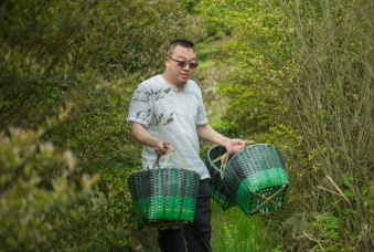 好茶无界|蜕变中的闽翁，臻致即传奇！