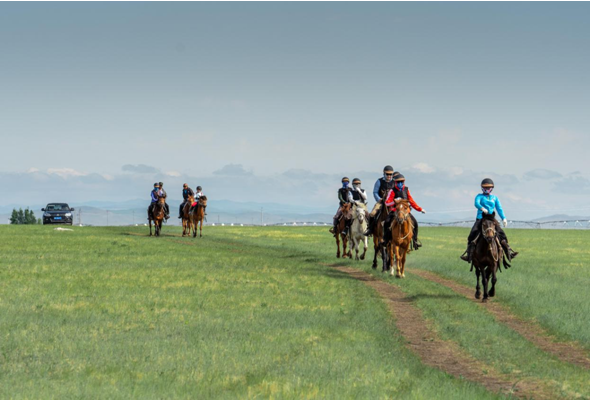 内蒙古马文化旅游进入旅游旺季，换种方式“骑着马儿游草原”