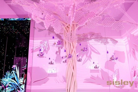 Sisley法国希思黎品牌首展开幕 携手吴磊探寻植萃秘境