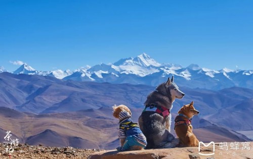 马蜂窝旅游网蜂首：旅游让我遇见自己