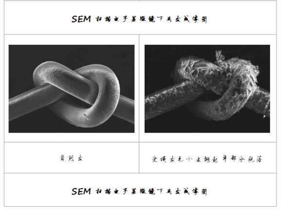 闪耀风型 只为专业发型师打造 第三届戴森风尚造型大赛决赛落幕上海