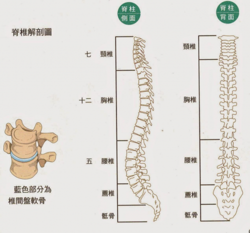 警惕！睡沙发竟然对脊椎的伤害这么大