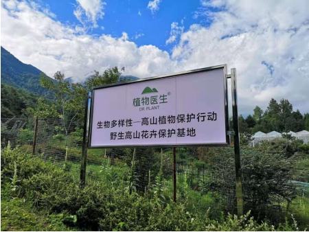 云南成立生物多样性公约筹备小组 植物医生积极参与生多保护