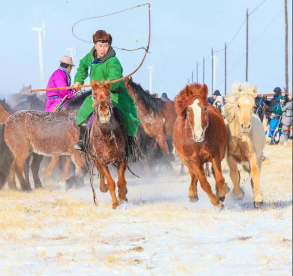 城市版套马的汉子 “蒙古马”国际驯马大赛代表队出炉