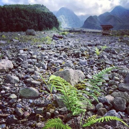 马蜂窝旅游网蜂首：旅游让我遇见自己