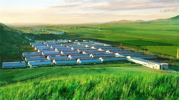 蒙牛20年：打造中国乳业的黄埔军校