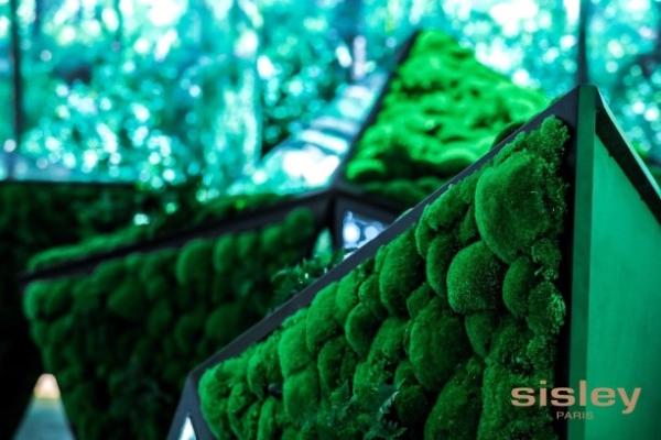 Sisley法国希思黎品牌首展开幕 携手吴磊探寻植萃秘境