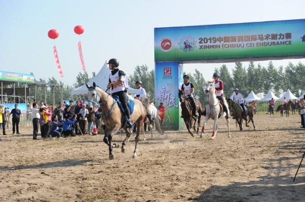 传承传播特色马文化2019中国新民国际马术耐力赛揭幕