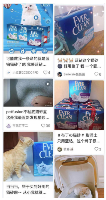 Ever Clean蓝钻的“粉丝效应”如何为品牌赋能？